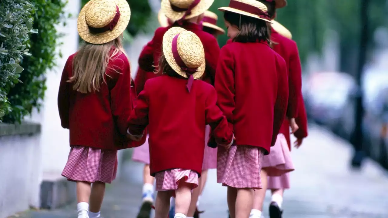 NSW Premier vows to move forward with return-to-school plans