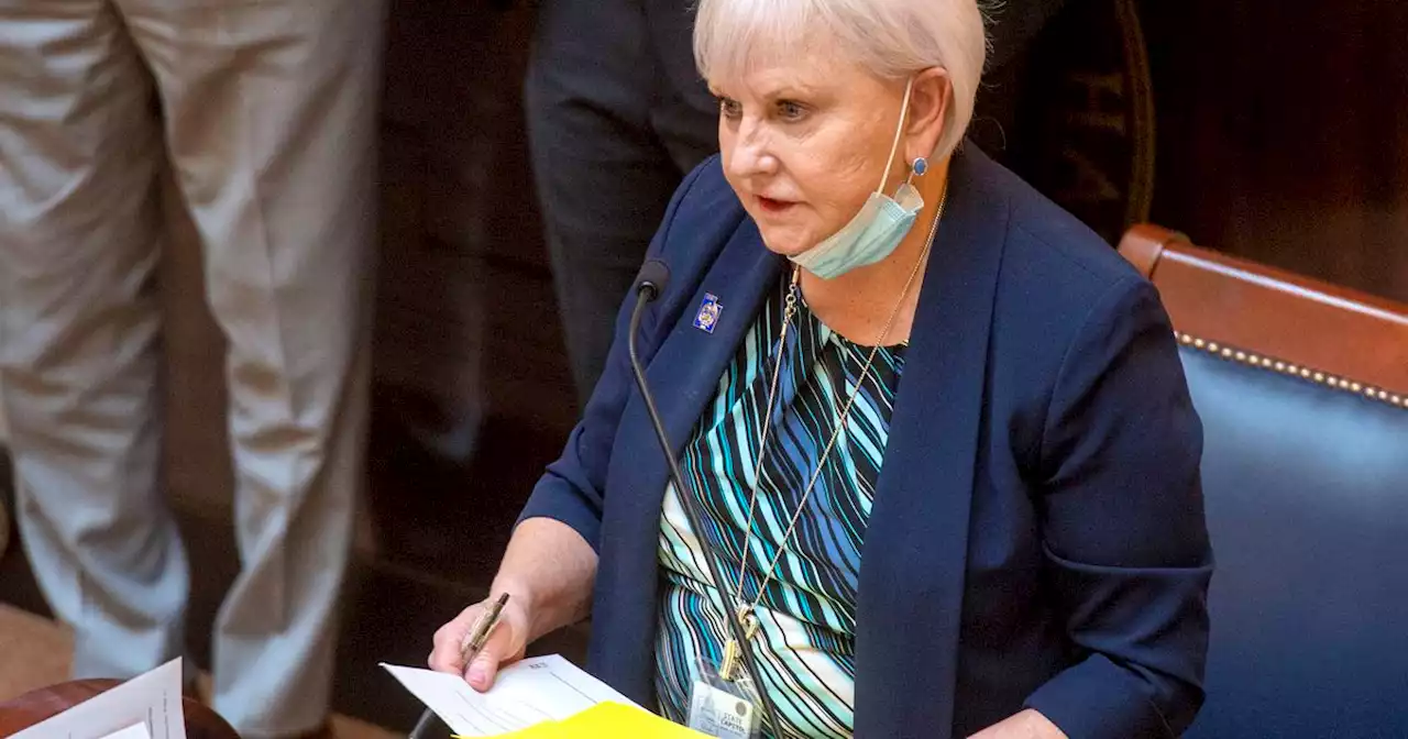 Senate minority leader Karen Mayne diagnosed with cancer