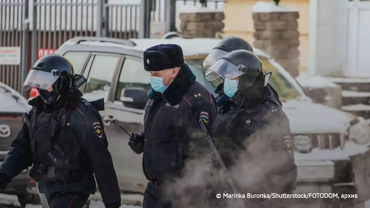 В Забайкалье возбудили дело из-за гибели девочки от нападения собак