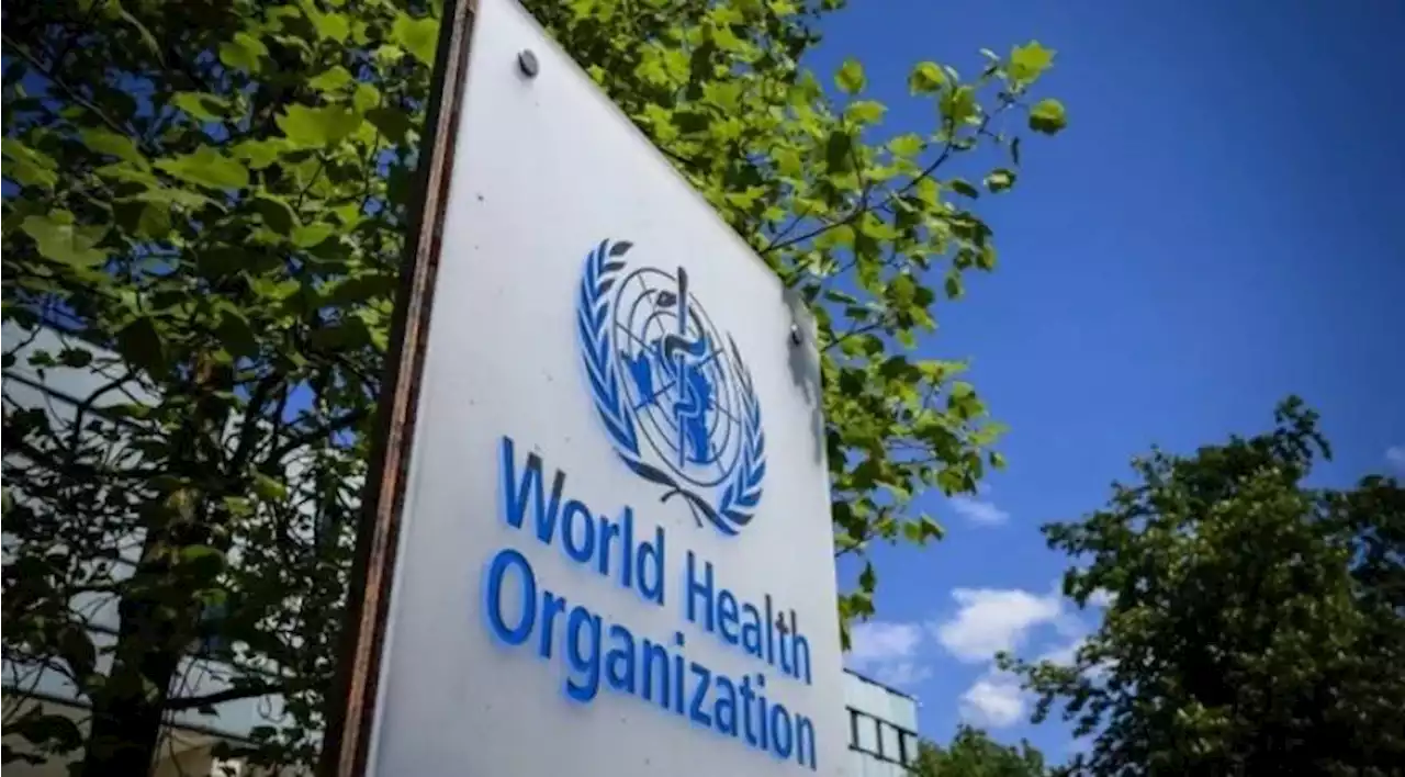 Europe could be headed for pandemic 'endgame': WHO