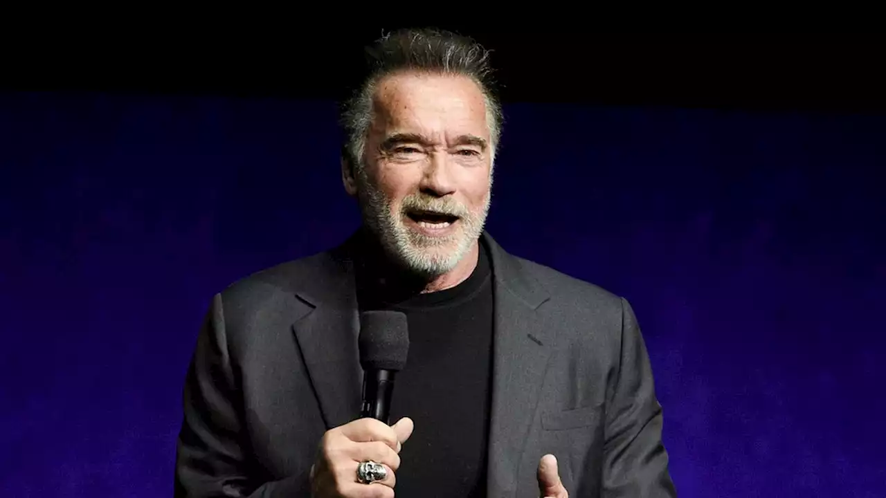 Arnold Schwarzenegger involved in Los Angeles car crash with 4 vehicles