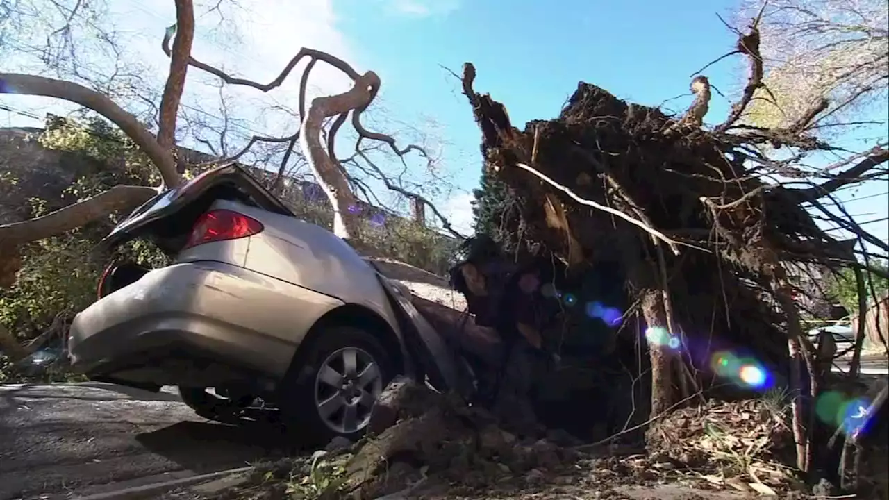 Strong winds bring down trees, cause power outages across Bay Area