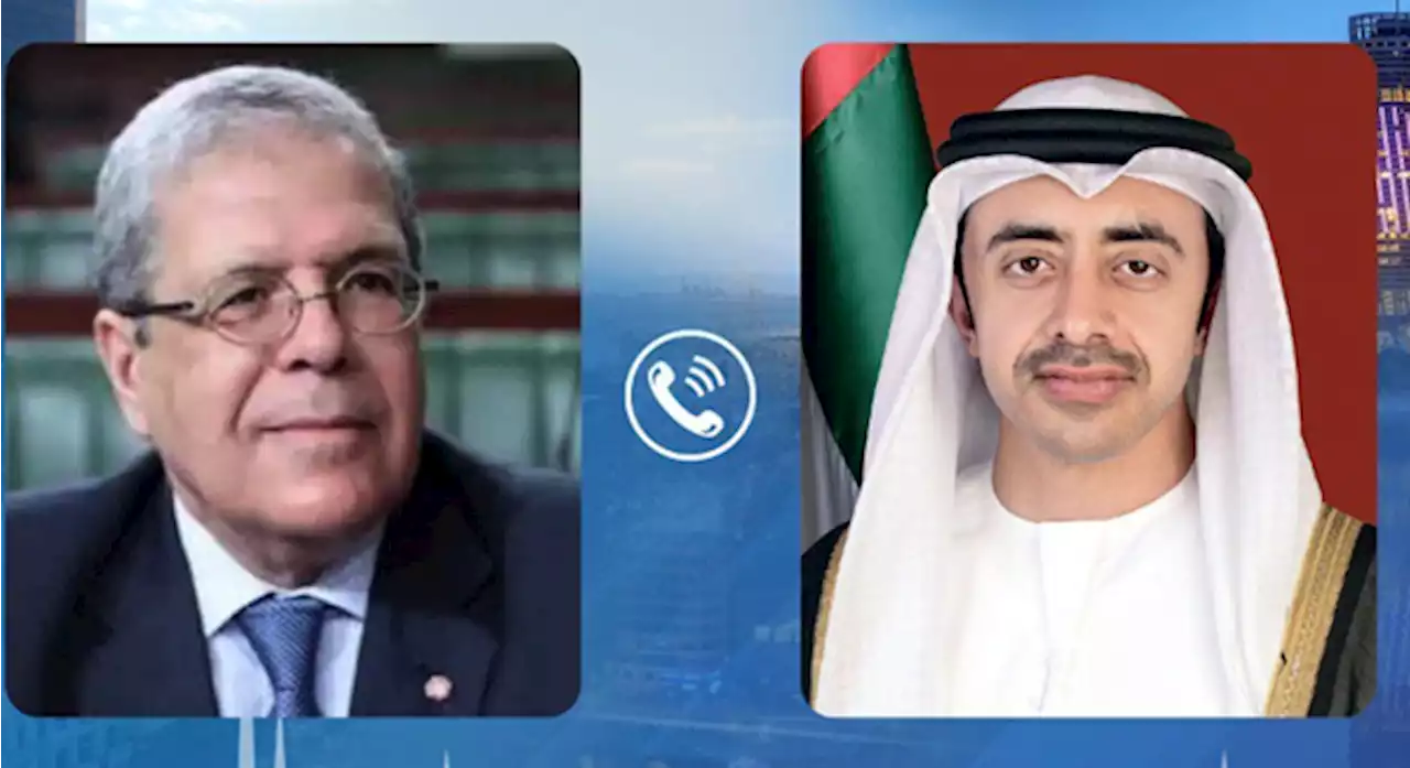 وزير خارجية تونس يدين الاعتداءات الحوثية الإرهابية على منشآت مدنية بالإمارات