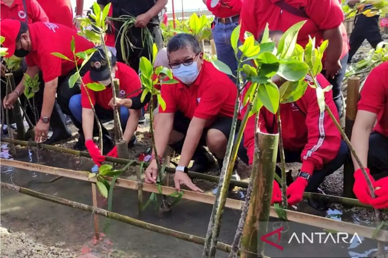 21.000 bibit pohon ditanam di lima daerah di wilayah Bali