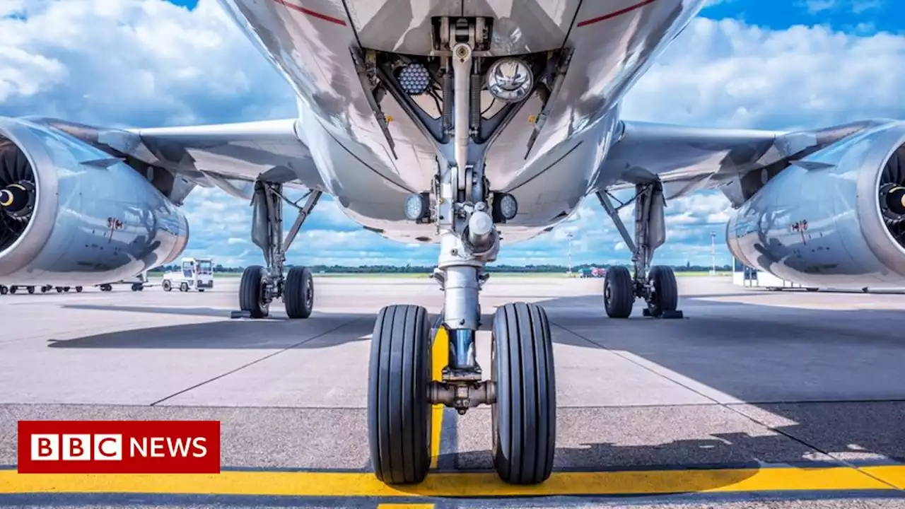 Stowaway found in South Africa plane wheel at Amsterdam airport