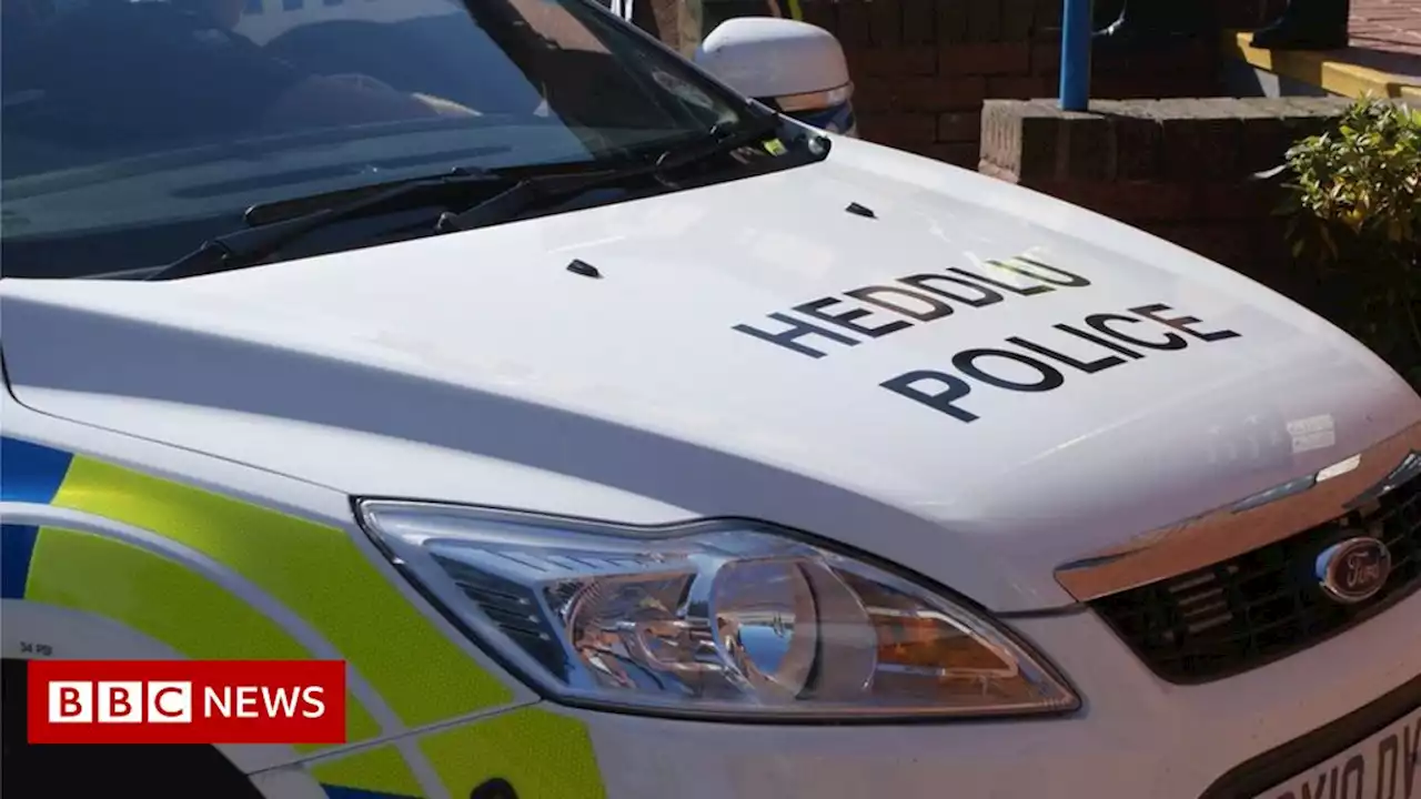 Swansea: Woman, 18, dies and another hurt in car crash