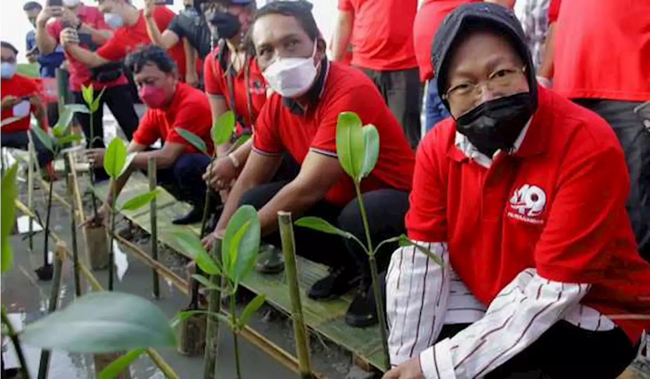 Didorong Jadi Kepala Otorita IKN, Begini Respons Risma