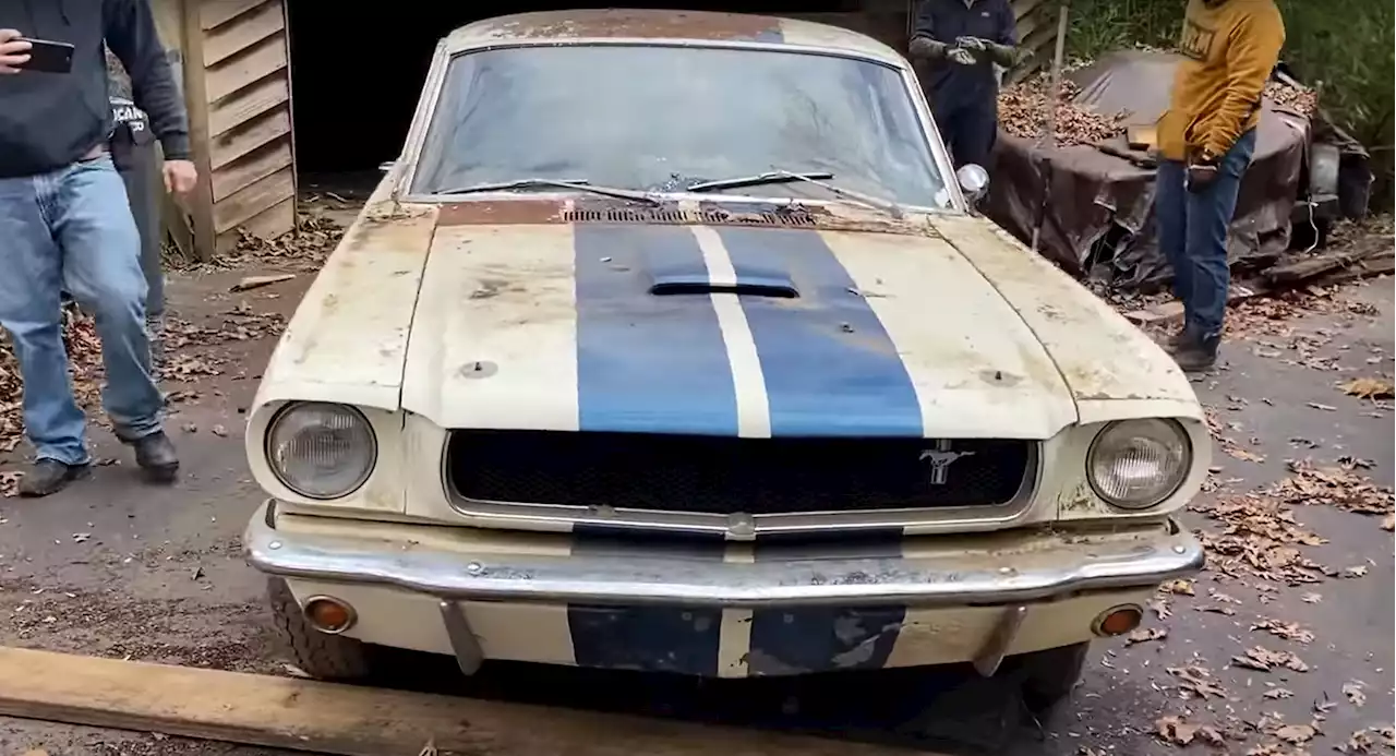 Historic 1965 Ford Mustang Shelby GT350 Was Hiding In An Abandoned House For Decades | Carscoops