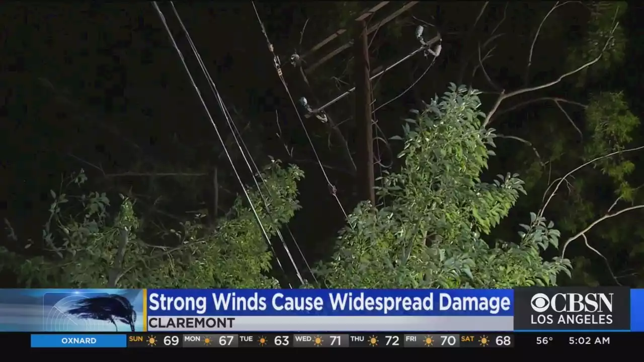 Saturday's Powerful Winds Wreak Havoc In Claremont, Across Foothill Areas