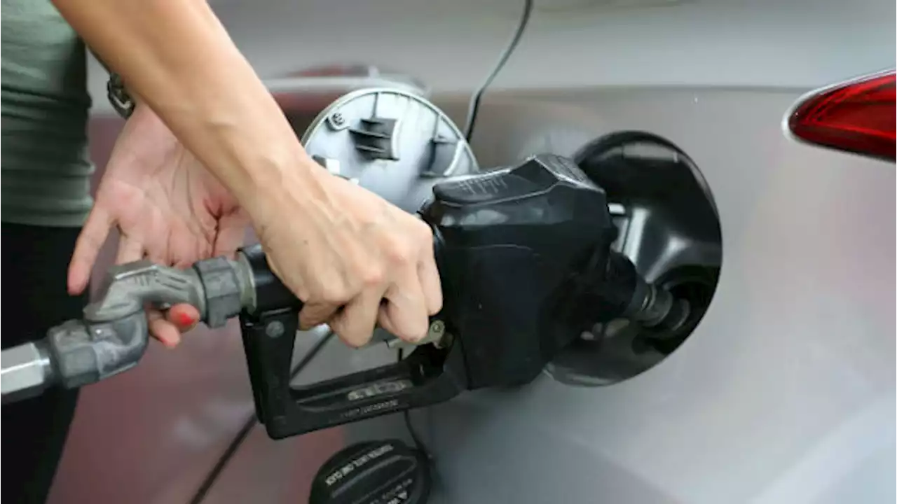 Gas Prices Go Up In New Jersey, Around Nation As Crude Prices Rise