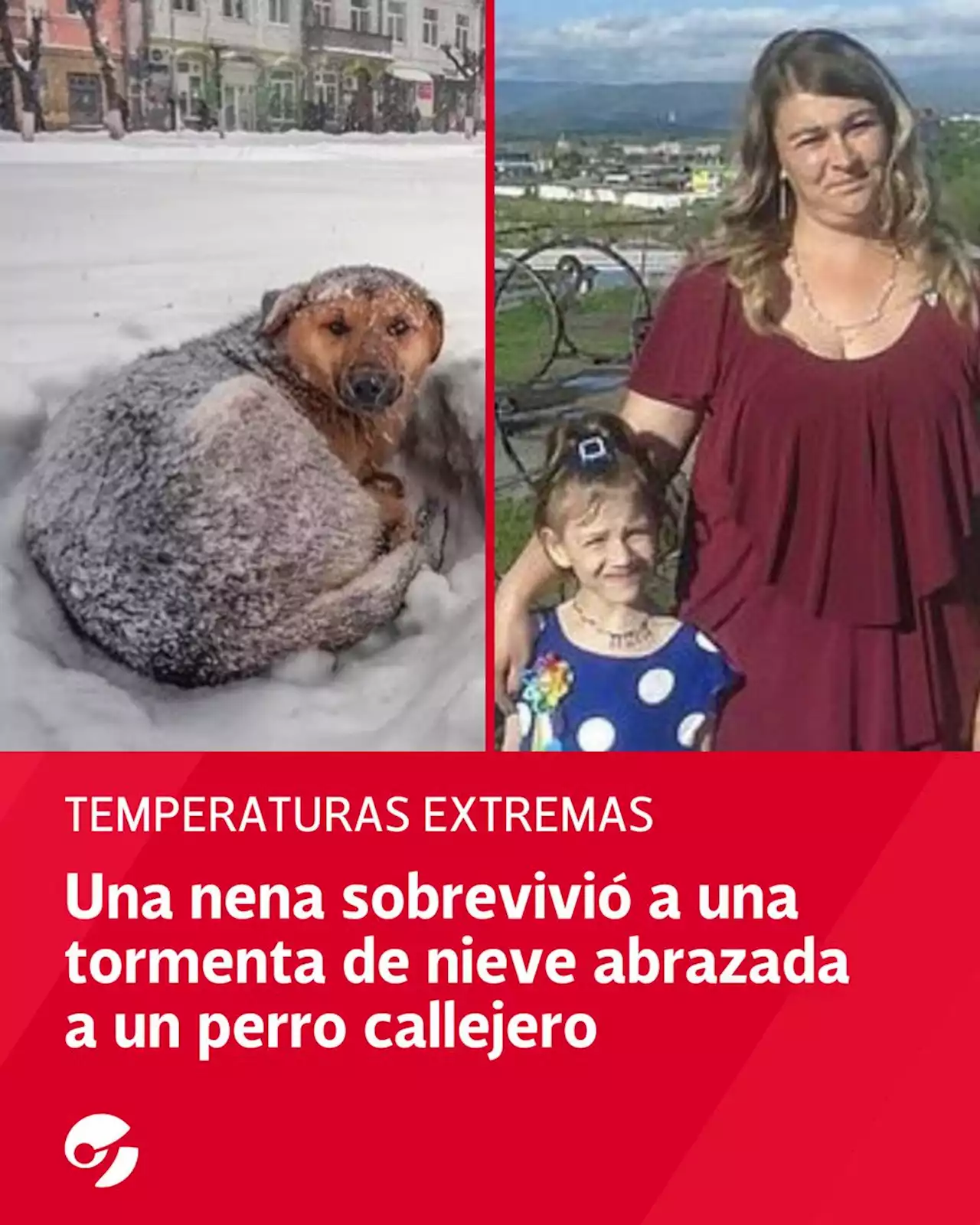 Una niña de 10 años sobrevivió a una tormenta de nieve abrazada a un perro callejero