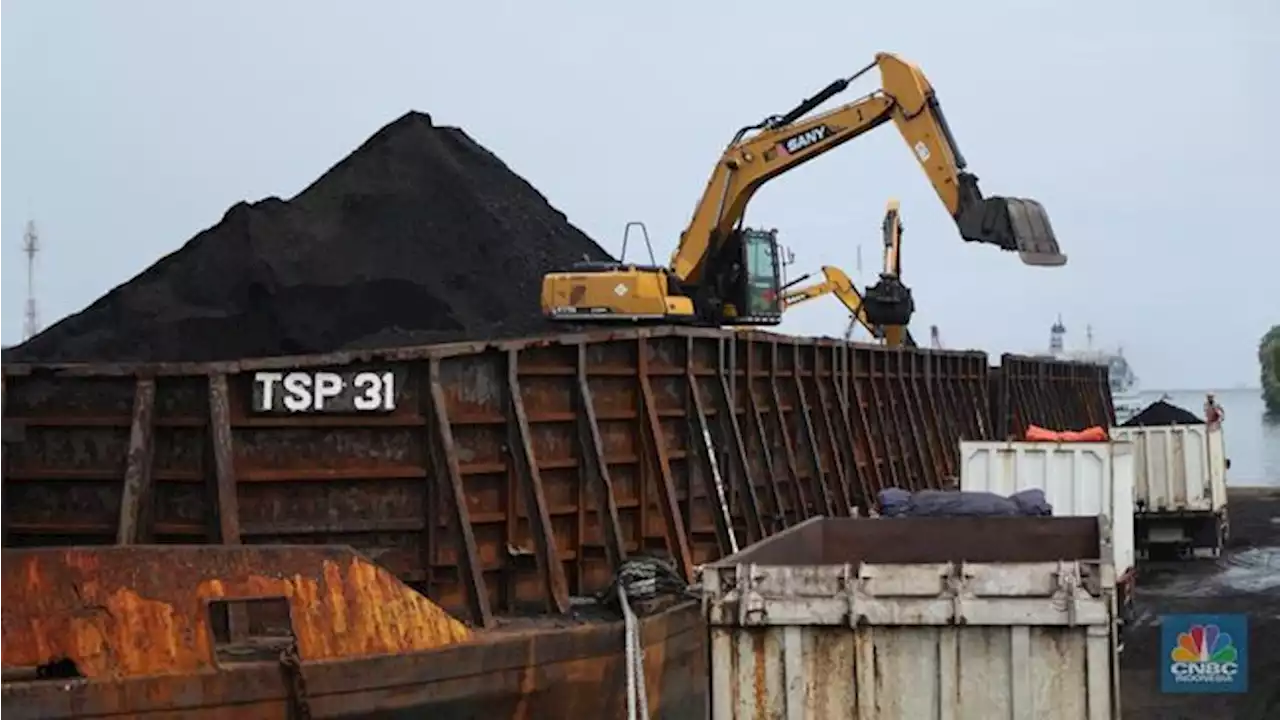 Batu Bara: Barang Tuhan Bagi Rata, Harga Naik Selangit!