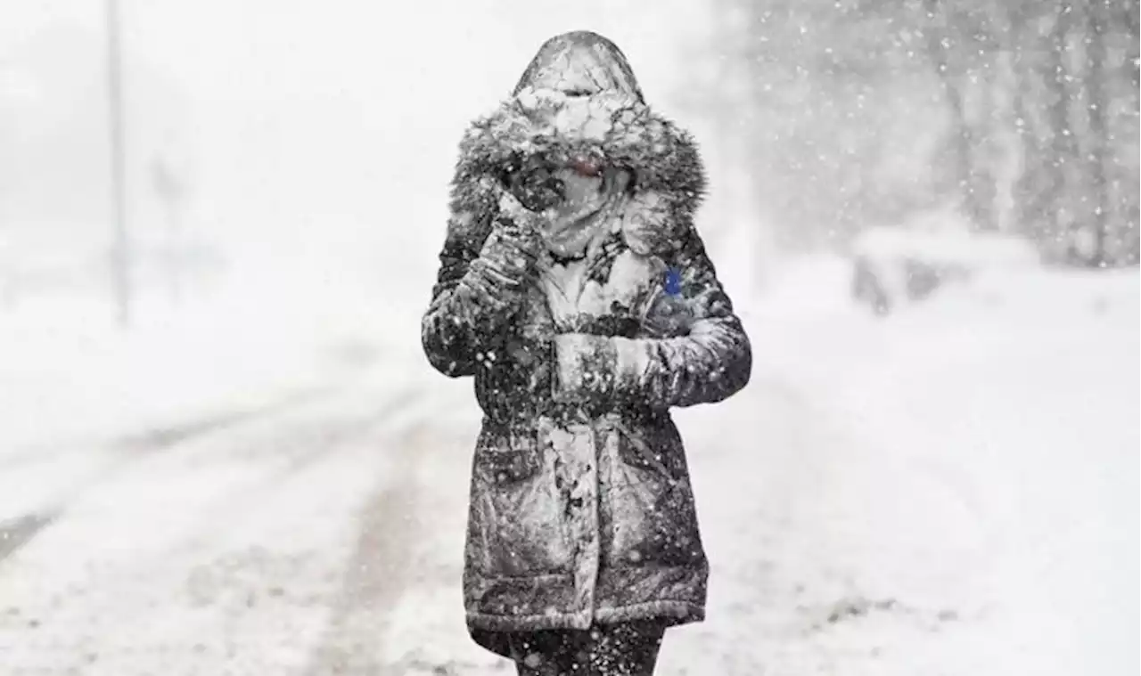 UK Snow: Britain to be swept with up to 4 inches of snow in first week of February