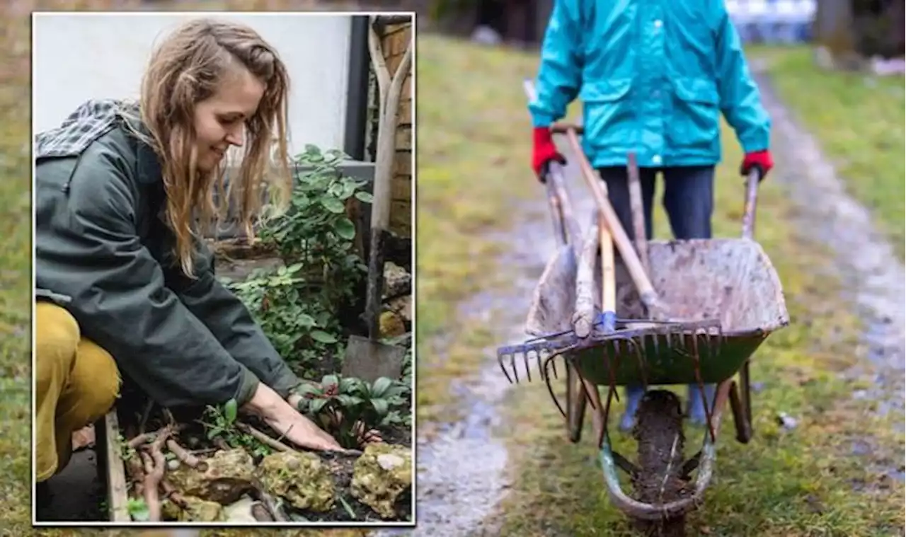 Winter gardening tips: Six jobs to keep your garden thriving throughout January & February