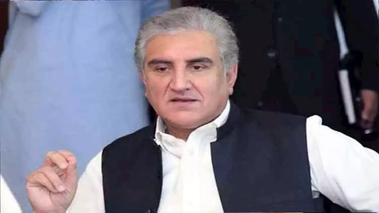 Presidential system has no reality, it is balloon: Shah Mehmood