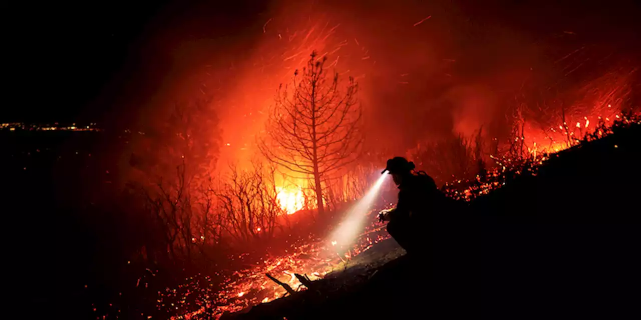 C'è un grande incendio in California, evento raro per il periodo invernale - Il Post