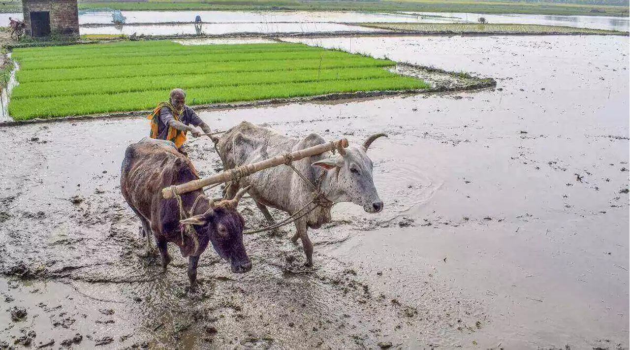 PM Kisan योजना में फर्जीवाड़ा रोकने के लिए अब यह दस्तावेज हो गया जरूरी