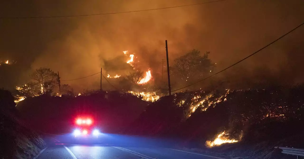 High winds topple trees and power lines, stoke fires across California