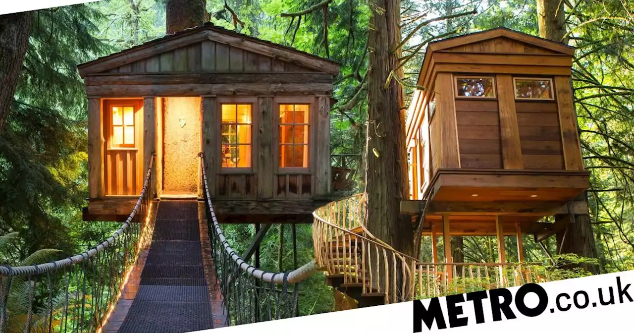 The five best treehouse holidays in Yorkshire