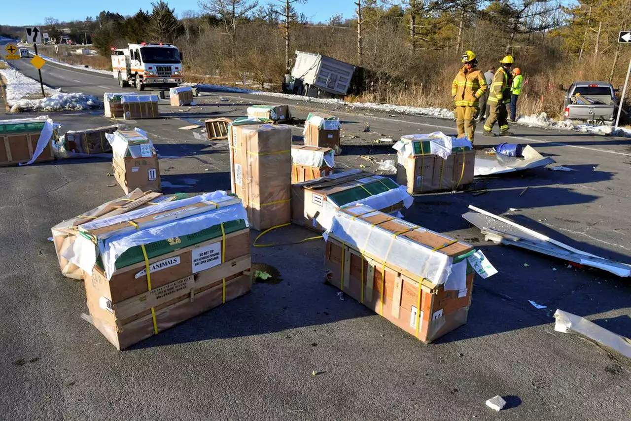 All monkeys accounted for after tractor-trailer crash: Police