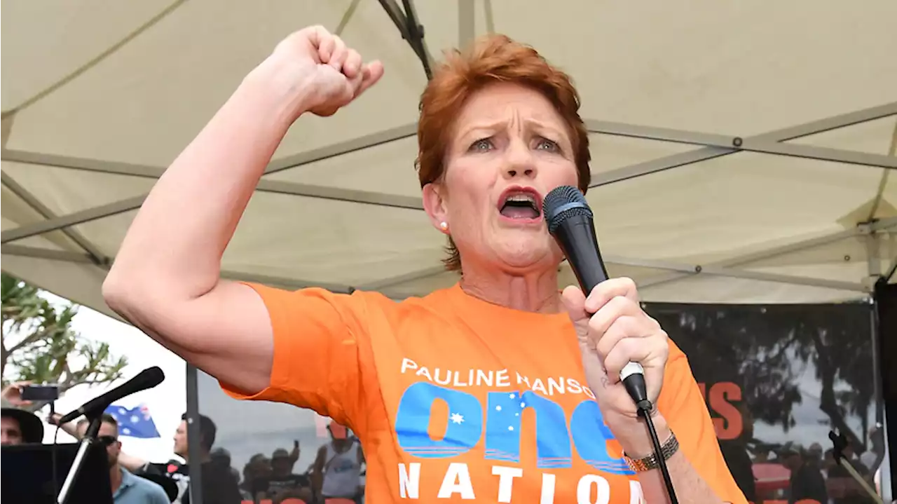 Pauline Hanson calls for pandemic royal commission