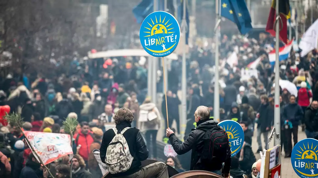 Verletzte und Festnahmen bei Corona-Protesten in Brüssel – Demonstrationen aber meist friedlich