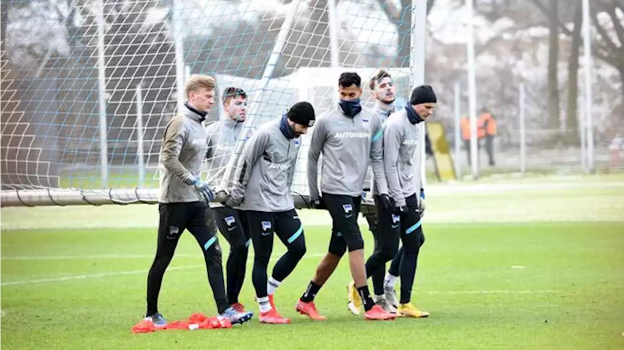 Etwa 80 Fans stören Training von Hertha BSC