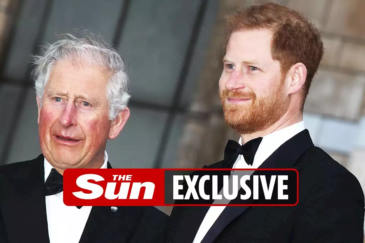 Harry in secret talks with Prince Charles in bid to heal rift before Jubilee