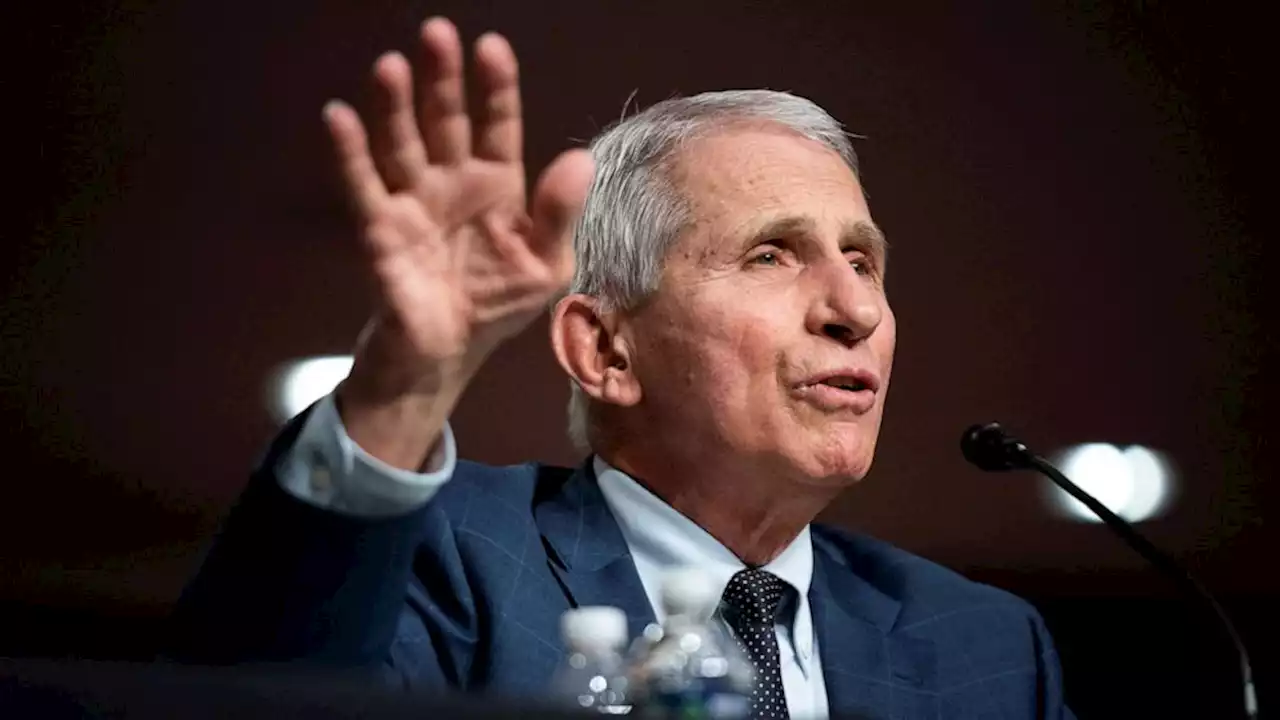 Fauci optimistic omicron will peak in February