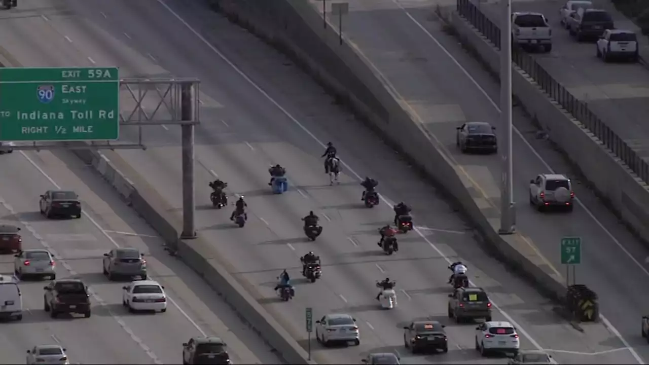 `Dreadhead Cowboy' pleads guilty to animal cruelty charge in Dan Ryan protest case