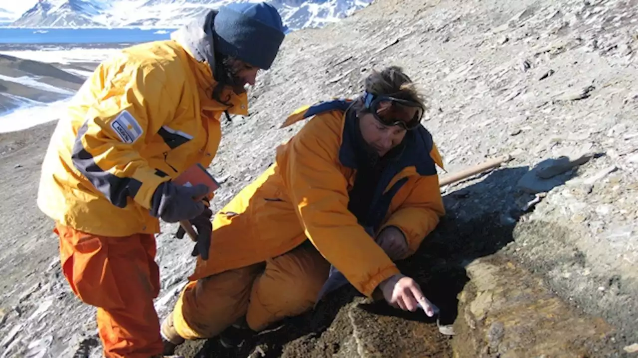 Fósiles de microorganismos revelan la evolución del clima y la vida en la Tierra