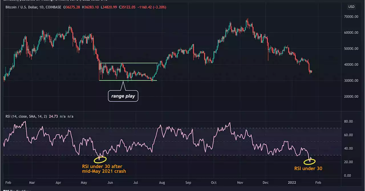 Bitcoin Whales Stay Away Even as Technical Indicator Flashes Oversold