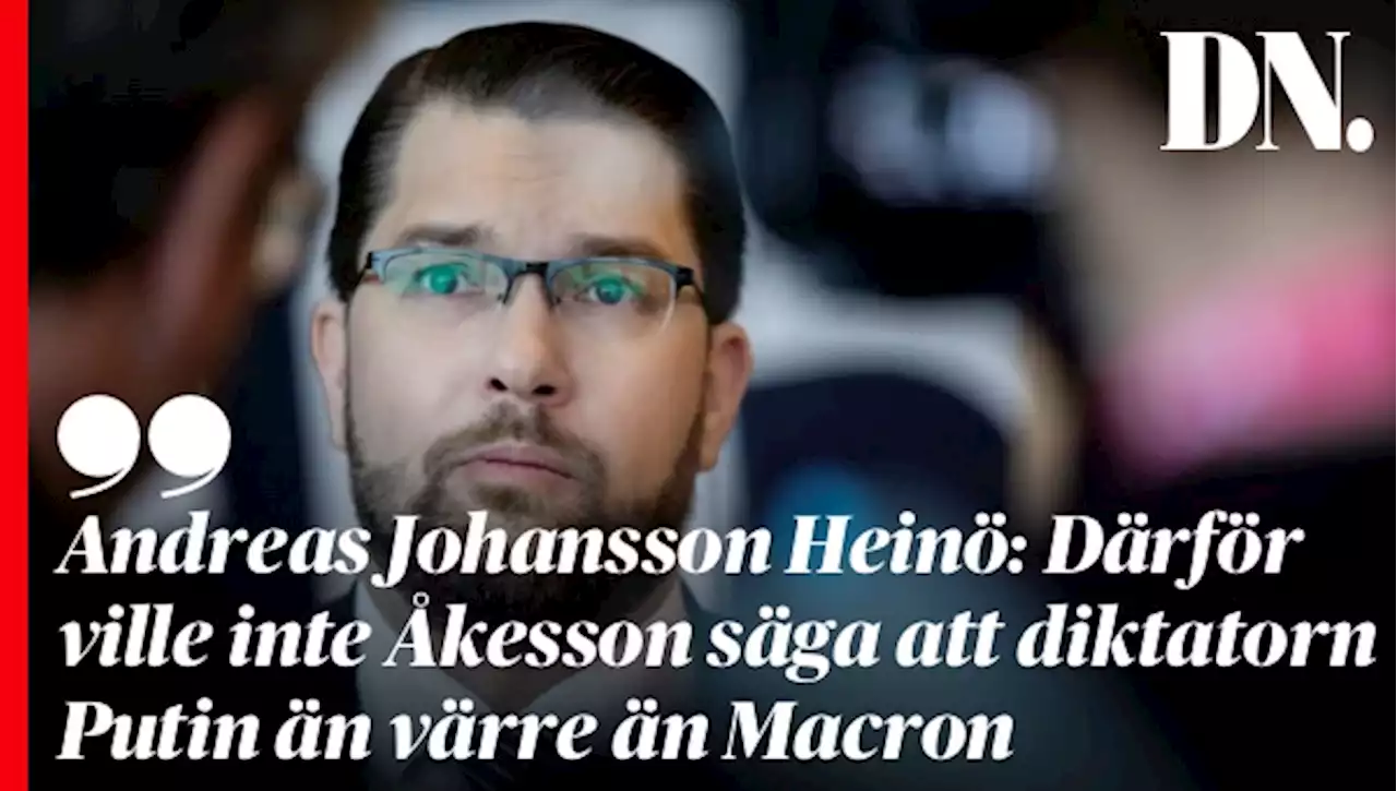 Andreas Johansson Heinö: Därför ville inte Åkesson säga att diktatorn Putin än värre än Macron