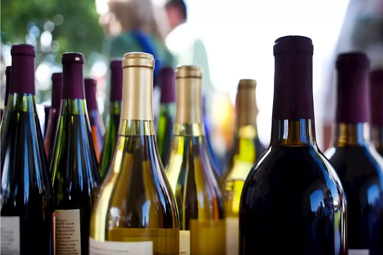 Record year for Argentine wine exports | Fin24