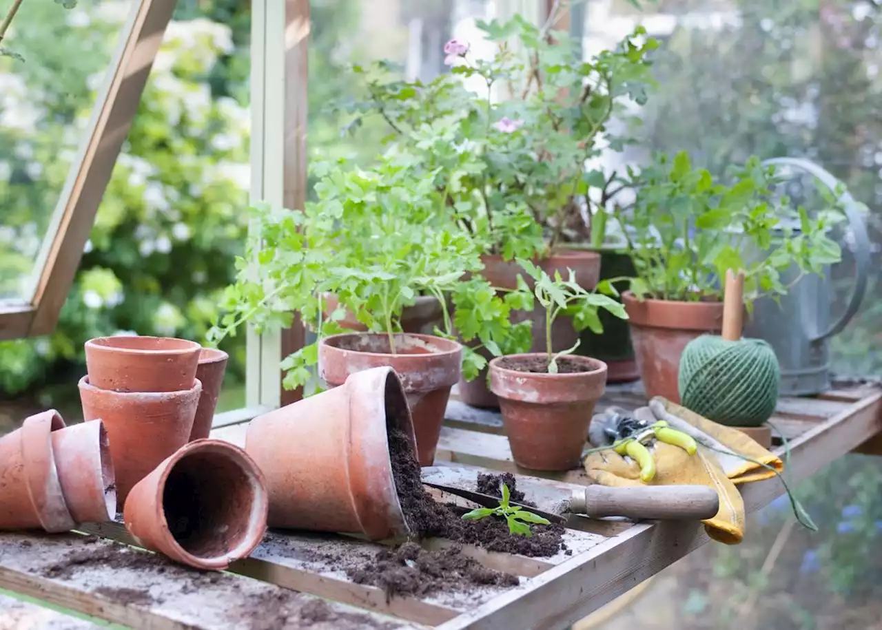 Think Gardening Only Happens in Spring? Think Again.