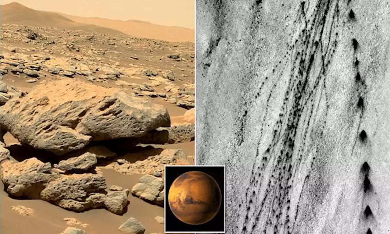 Cameras discover boulder tracks with evidence of earthquakes on Mars