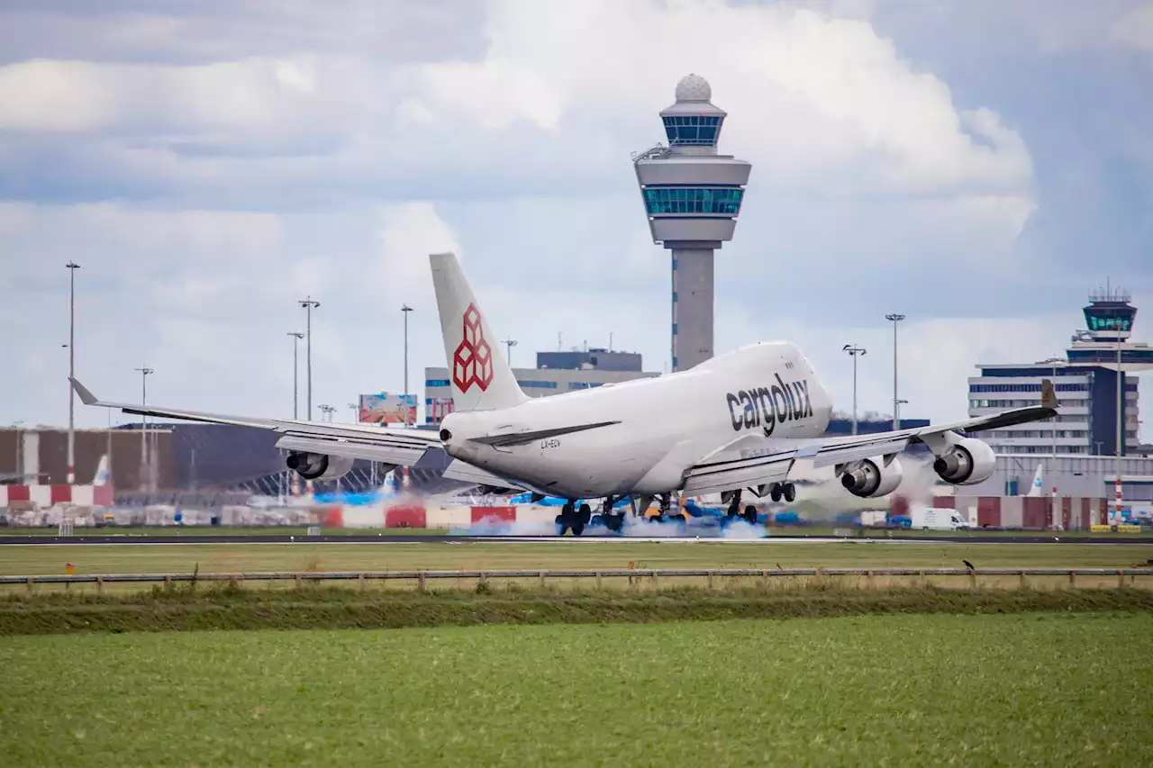 Stowaway Survives 11-Hour Flight to Amsterdam in Wheel Section of Cargo Plane