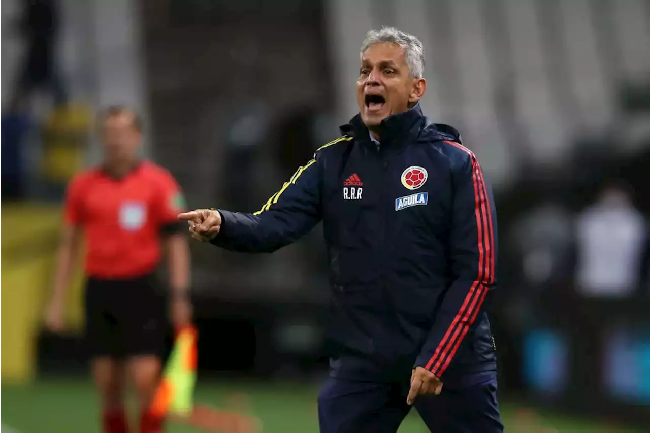 Reinaldo Rueda le sigue dando vueltas a la Selección Colombia: Teófilo Gutiérrez, sin cupo - Pulzo