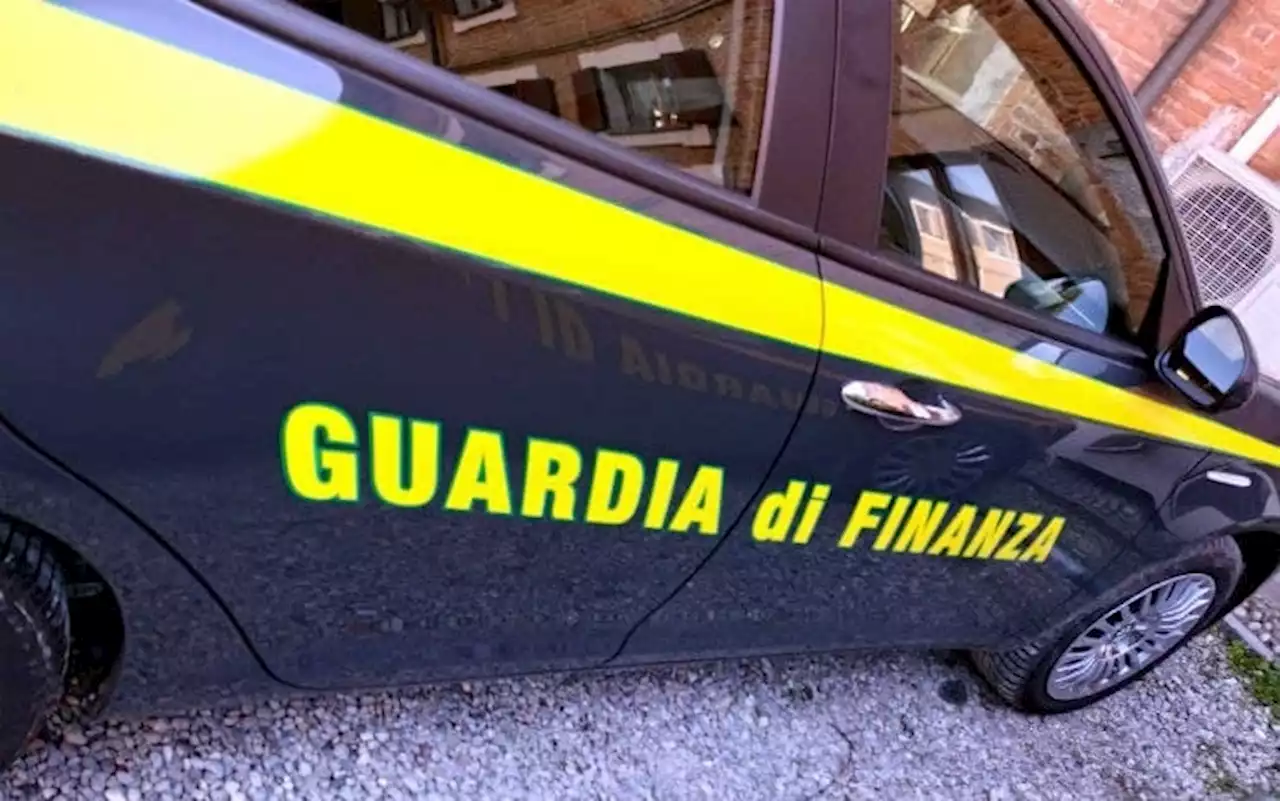 In auto con 39 cuccioli di cane in 3 gabbie nel Casertano: denunciato