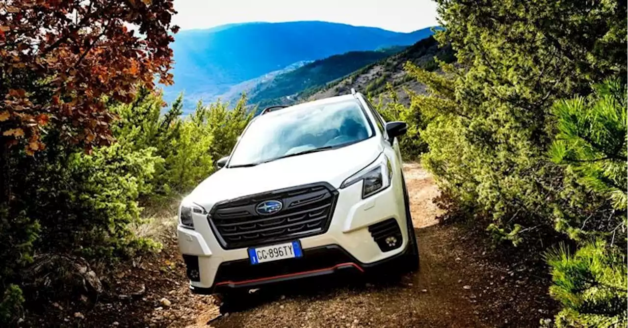 Subaru Forester e-boxer: ecco com’è, come va e quanto costa il rinnovato suv ibrido