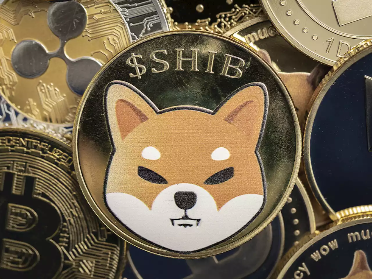 Shiba Inu Comes Closer to Becoming Biggest Holding on Whale Addresses After 16% Price Increase