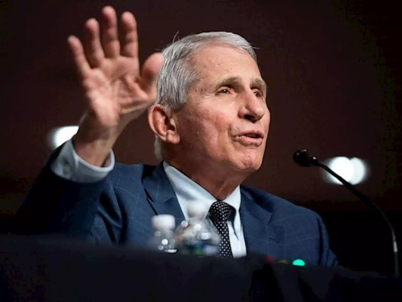 Fauci optimistic omicron will peak in February