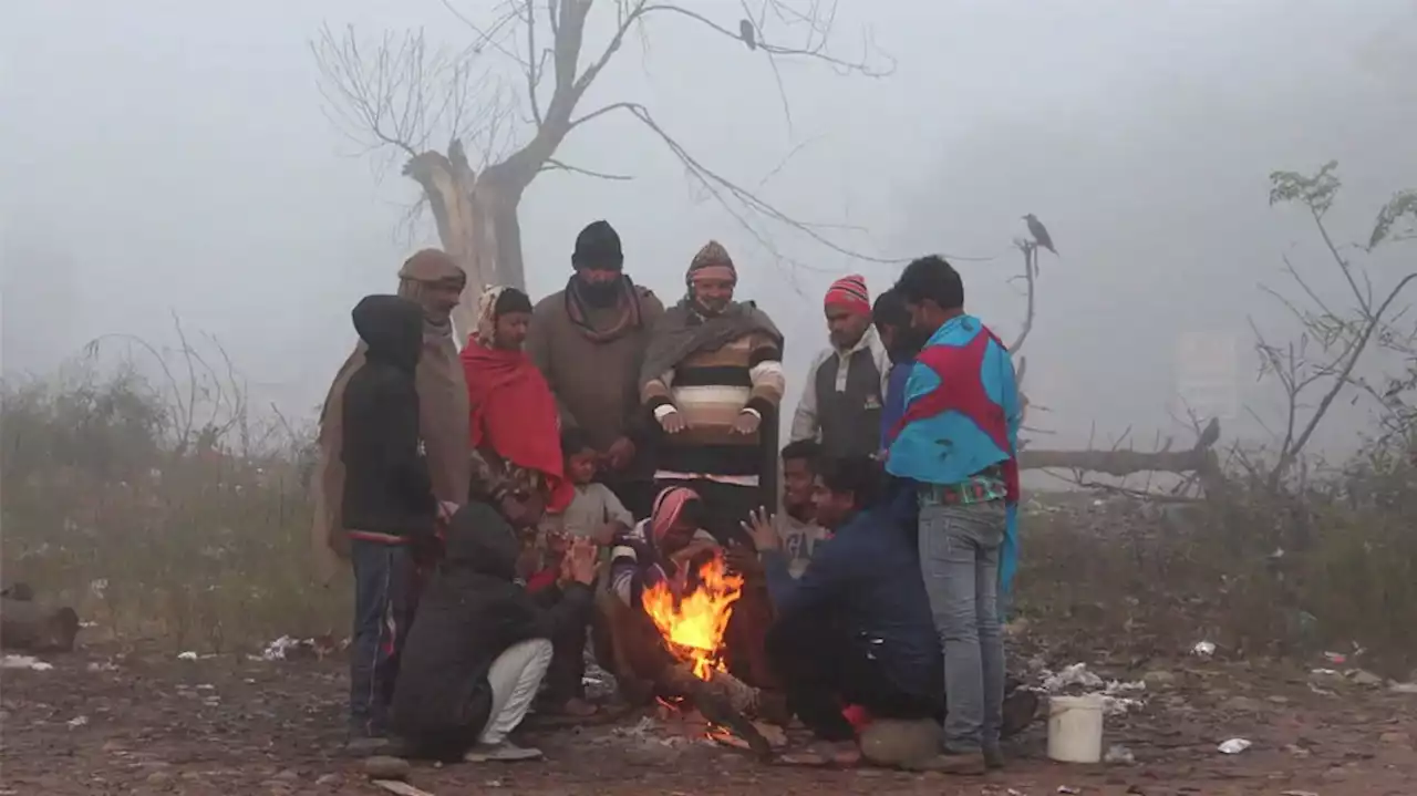 Weather Update: उत्तर भारत में सर्दी और कोहरे का सितम, आज इन राज्यों में होगी बारिश; IMD का अलर्ट