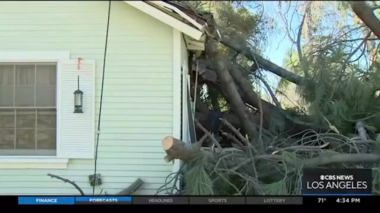 Crews Cleanup Wild Wind Damage In Claremont