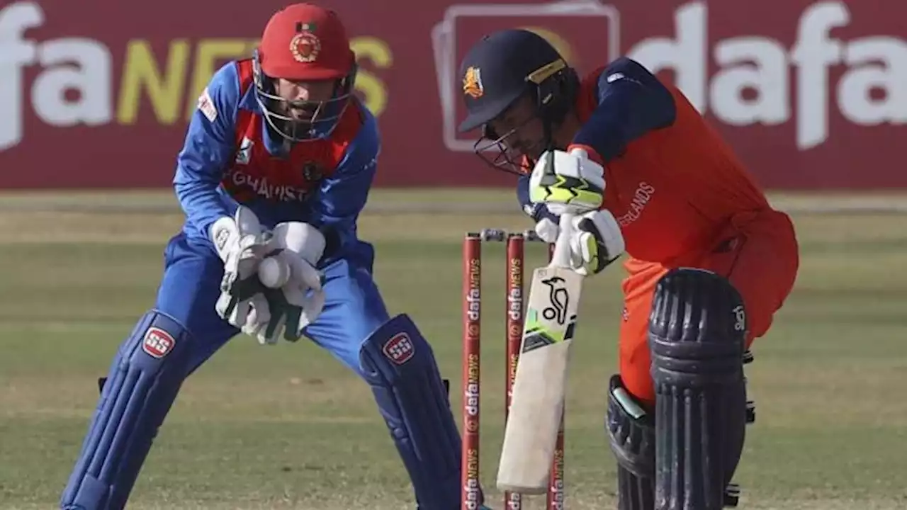 Afghanistan wrap up series clean sweep against Netherlands