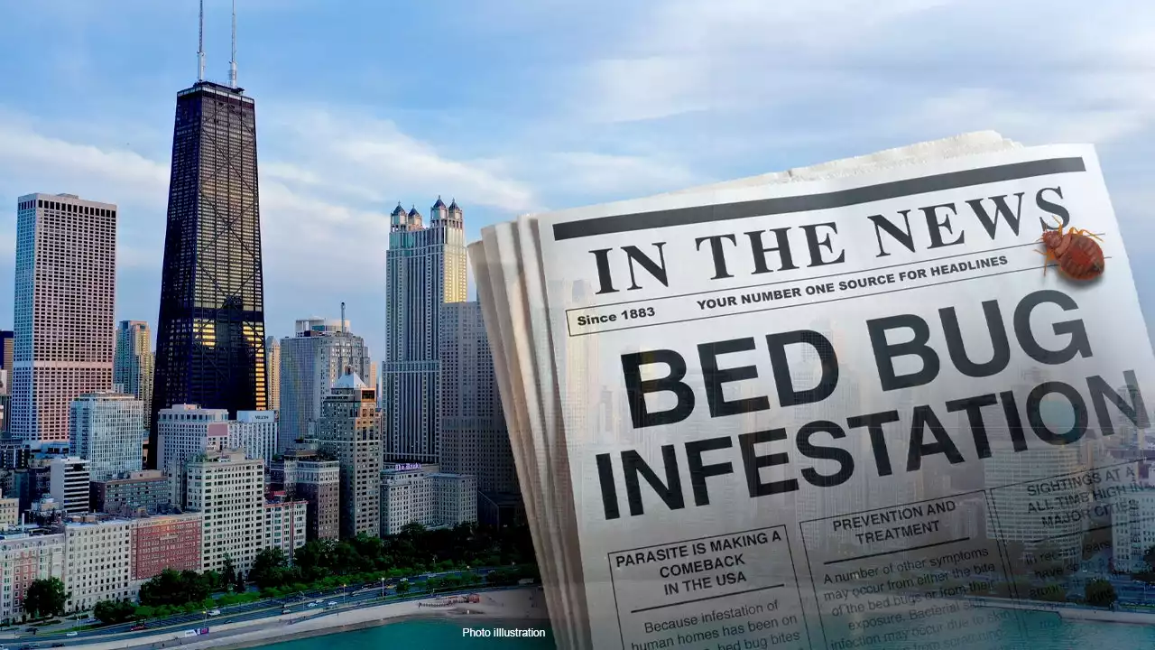 Traveling in 2022? These US cities have the most bed bugs