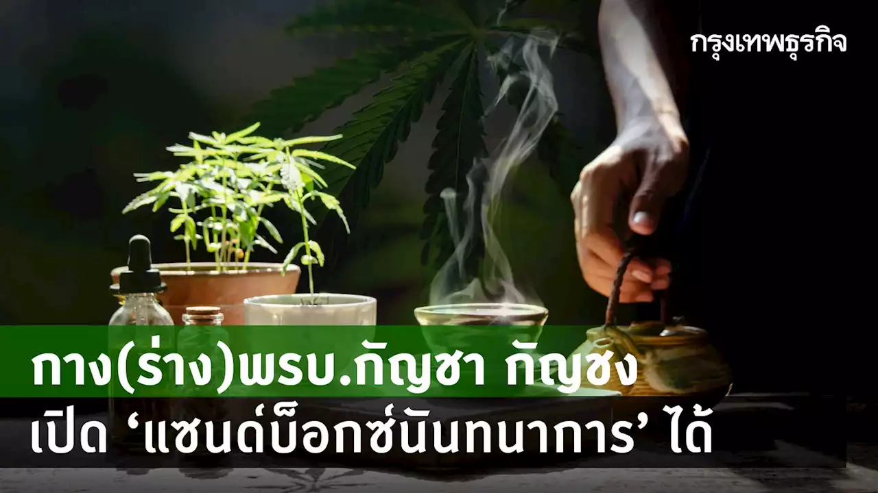 กาง(ร่าง)พ.ร.บ.กัญชาฉบับ อย. เปิด 'แซนด์บ็อกซ์ นันทนาการ' ได้