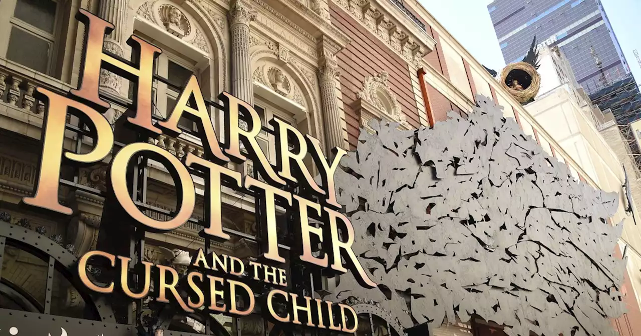 Broadway's 'Harry Potter and the Cursed Child' actor fired after conduct complaint