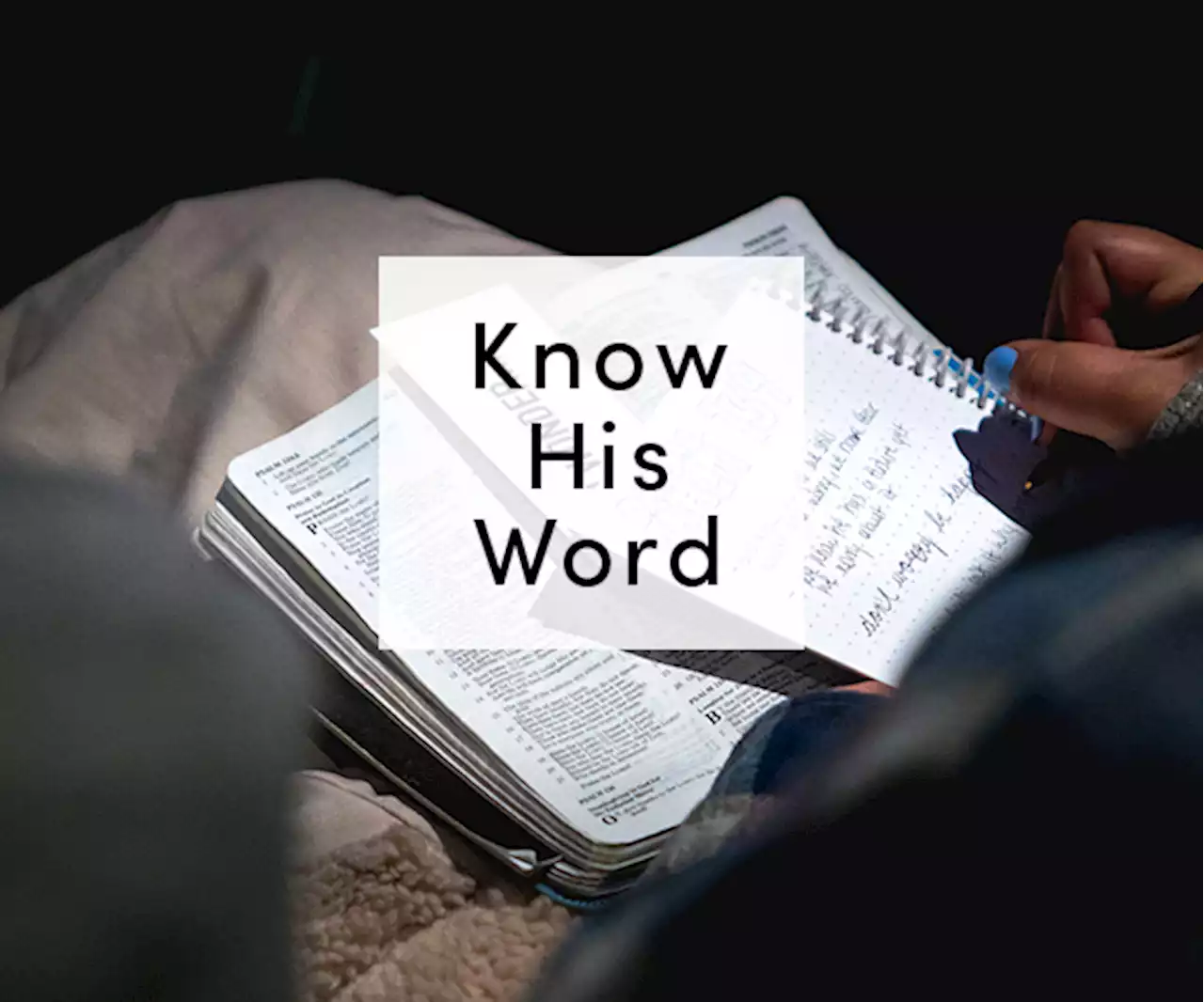 Know His Word | February 2022 Reading Plan - Lifeway Women