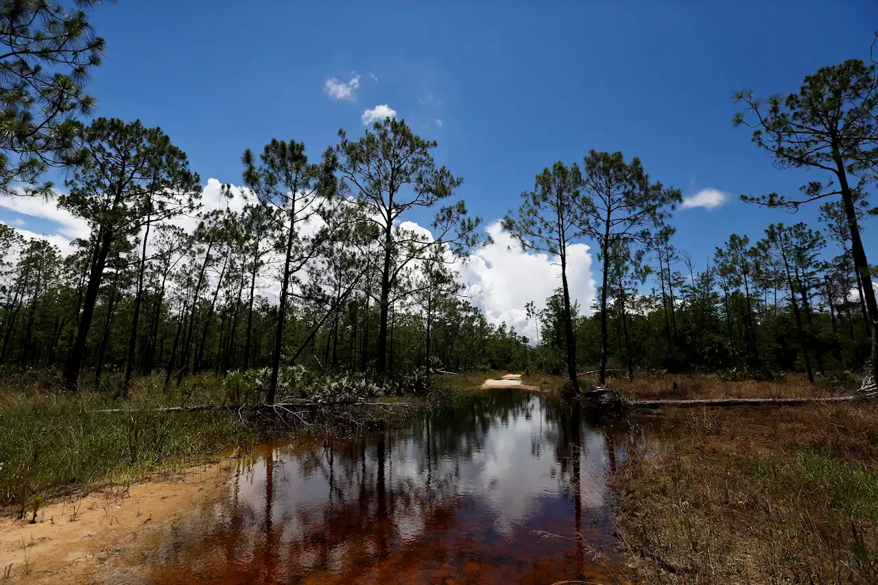 Justices to Weigh Limits on Reach of Clean Water Act